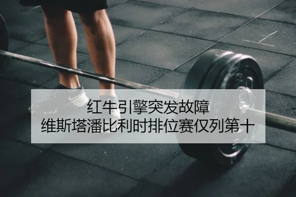 hong-niu-yin-qing-tu-fa-gu-zhang-wei-si-ta-pan-bi-li-shi-pai-wei-sai-jin-lie-di-shi-2-844.jpg