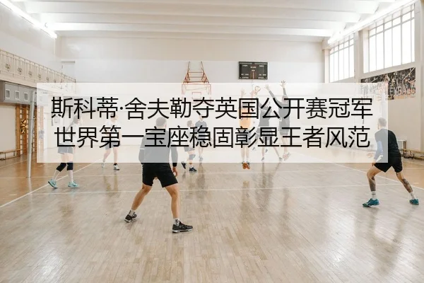 si-ke-di-she-fu-lei-duo-ying-guo-gong-kai-sai-guan-jun-shi-jie-di-yi-bao-zuo-wen-gu-zhang-xian-wang-zhe-feng-fan-2-523.jpg